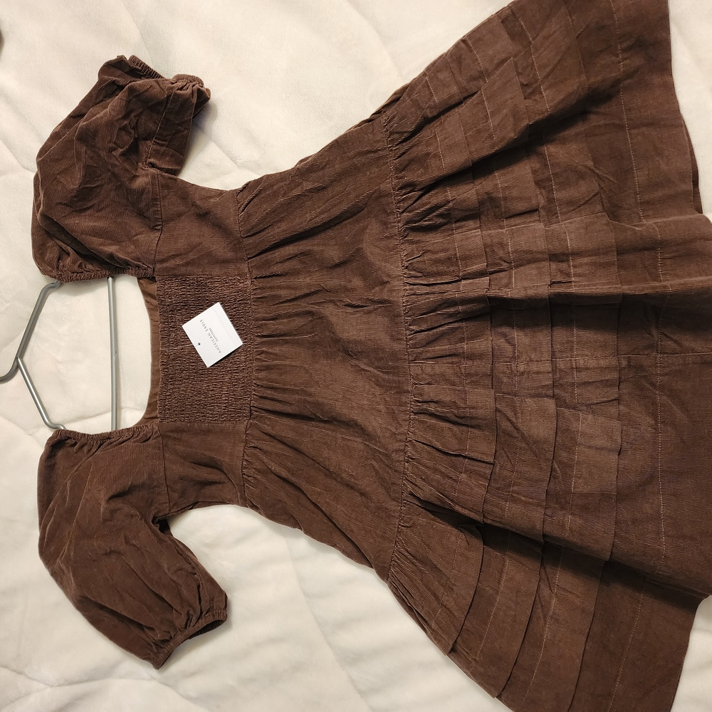 Charming Womans Brown Dress